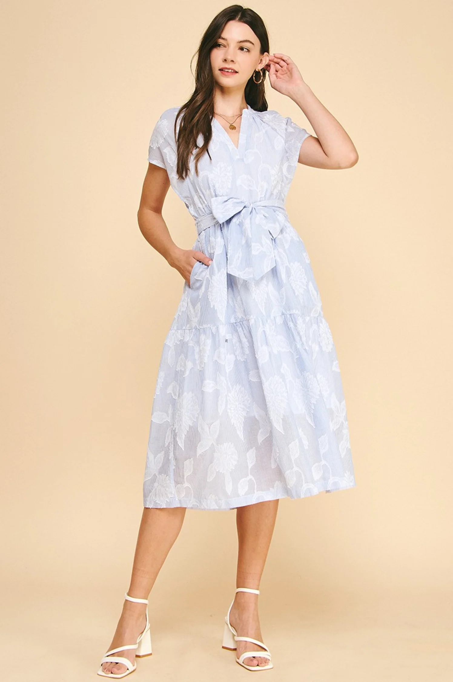 Alina Embroidered Midi Dress - Intensery