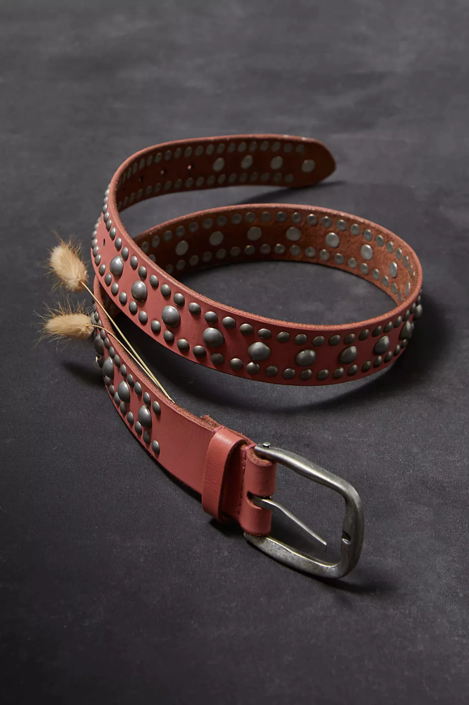 Sola Stud Belt - Intensery